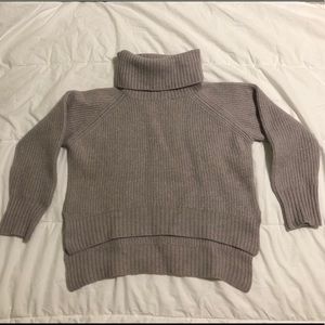 Aritzia Wilfred Free Turtleneck